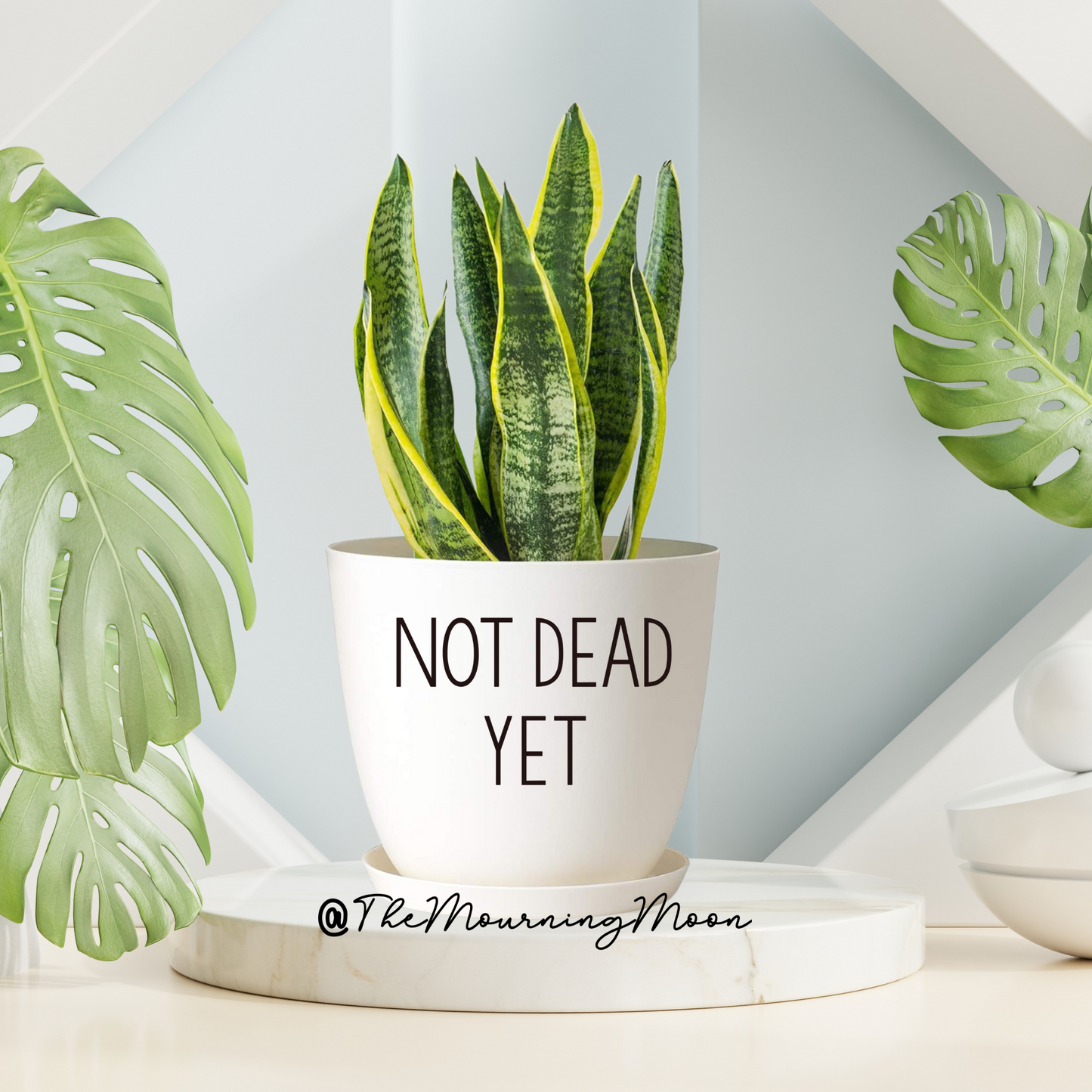 Not dead yet plant pot