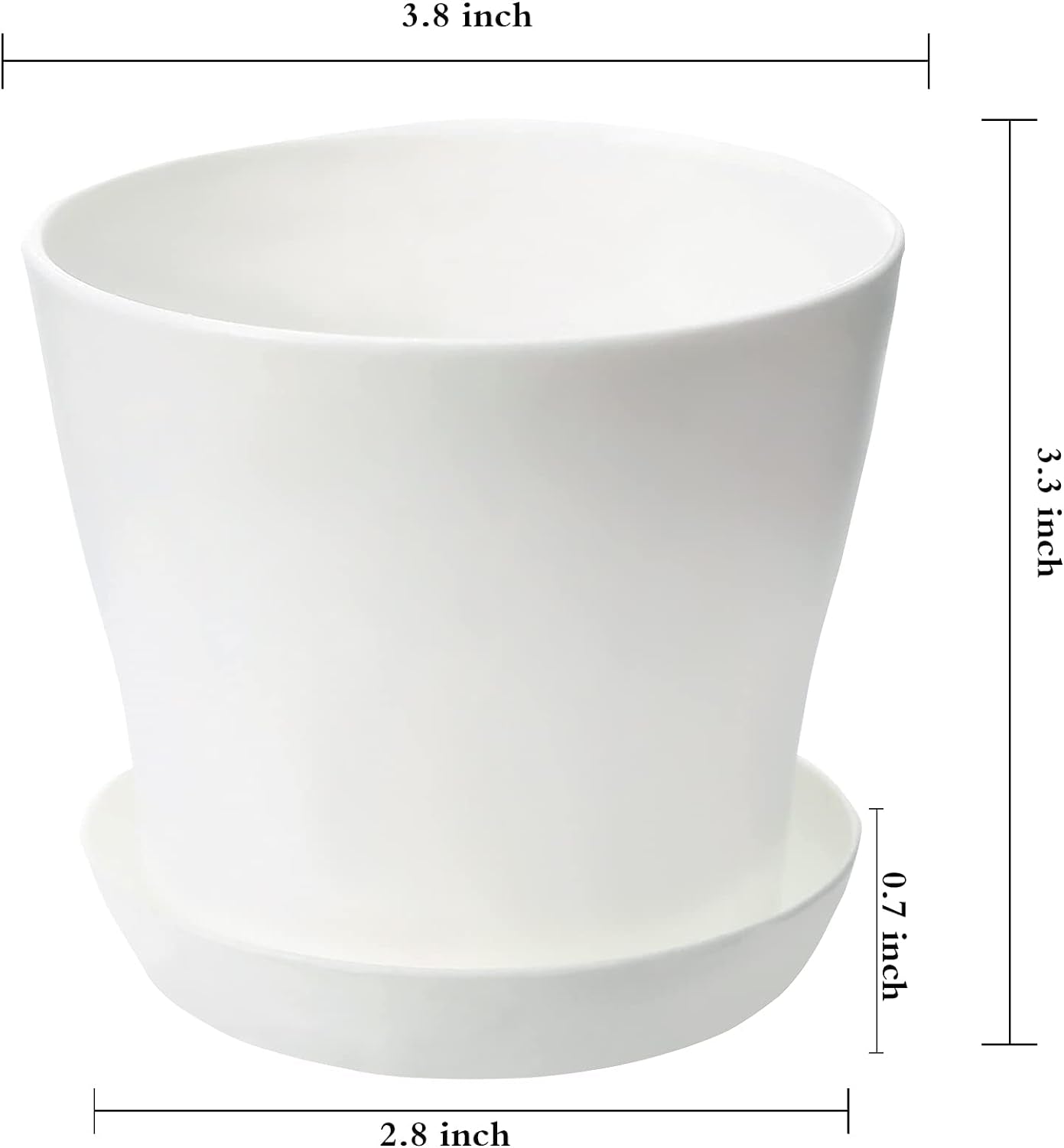 Plant coffin plant pot