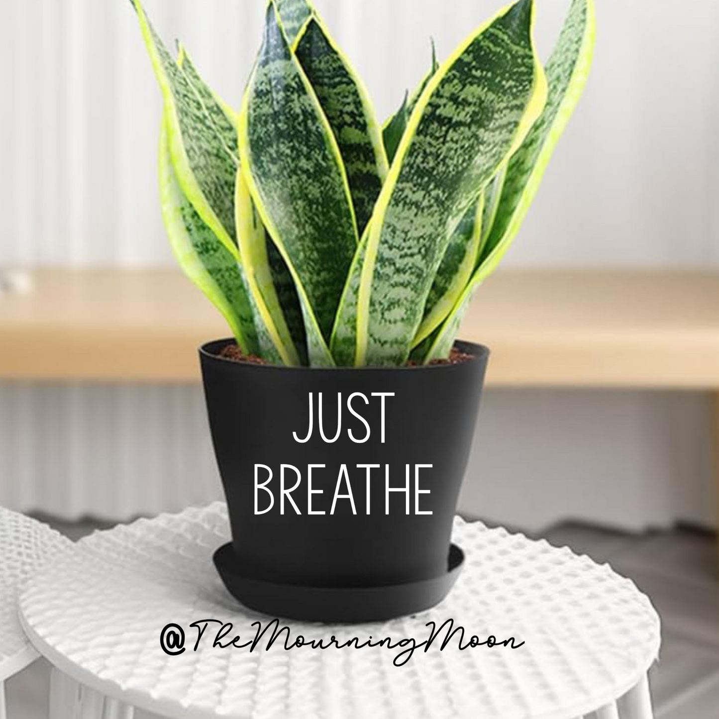 Just breathe plant pot