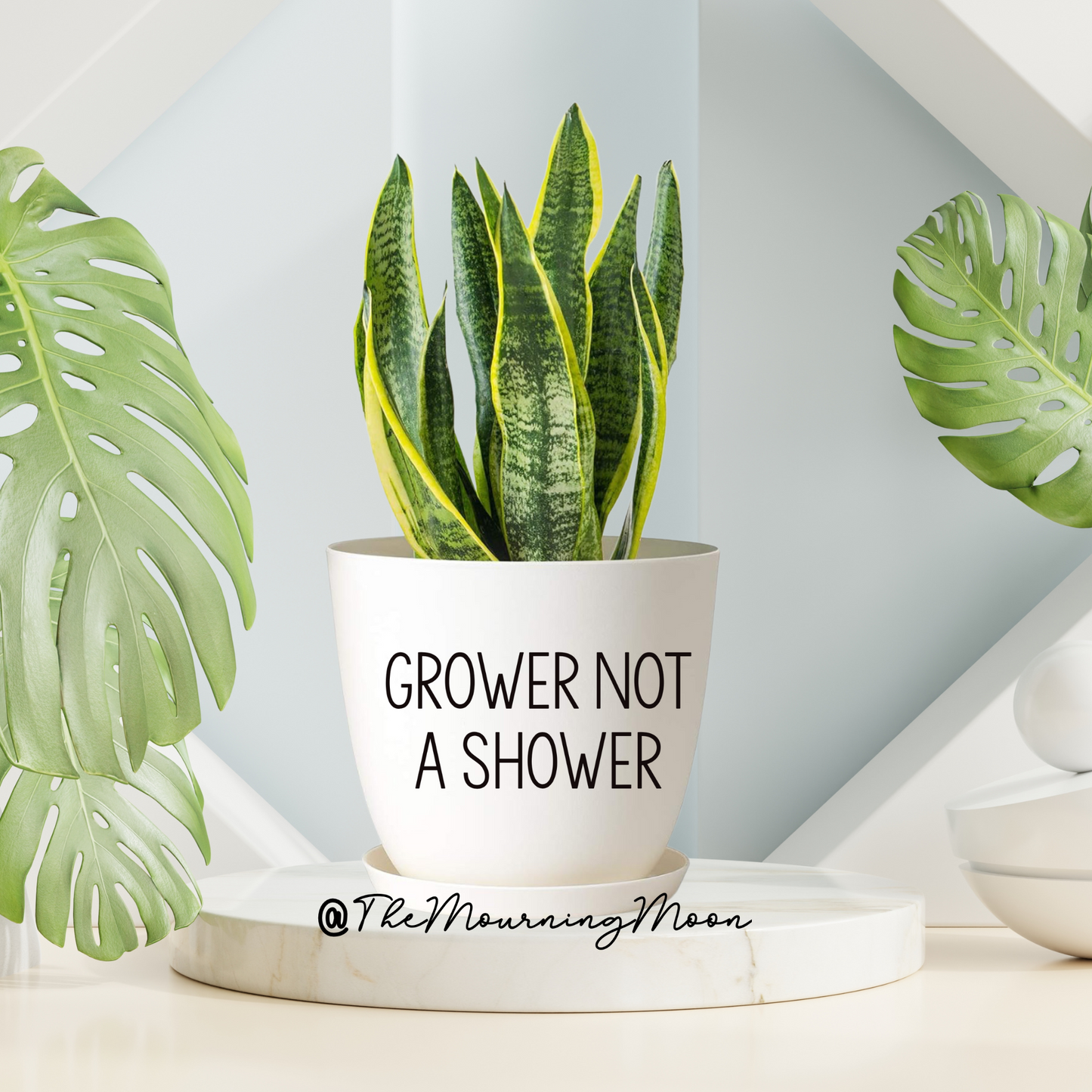 Grower not a shower plant pot