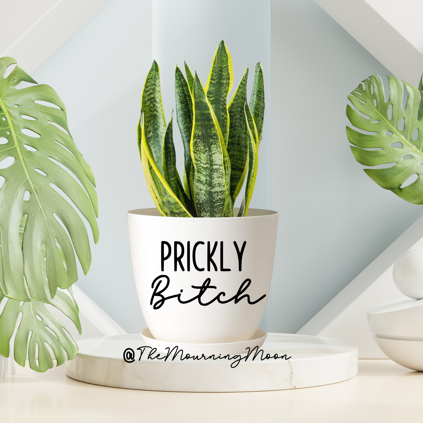 Prickly bitch plant pot