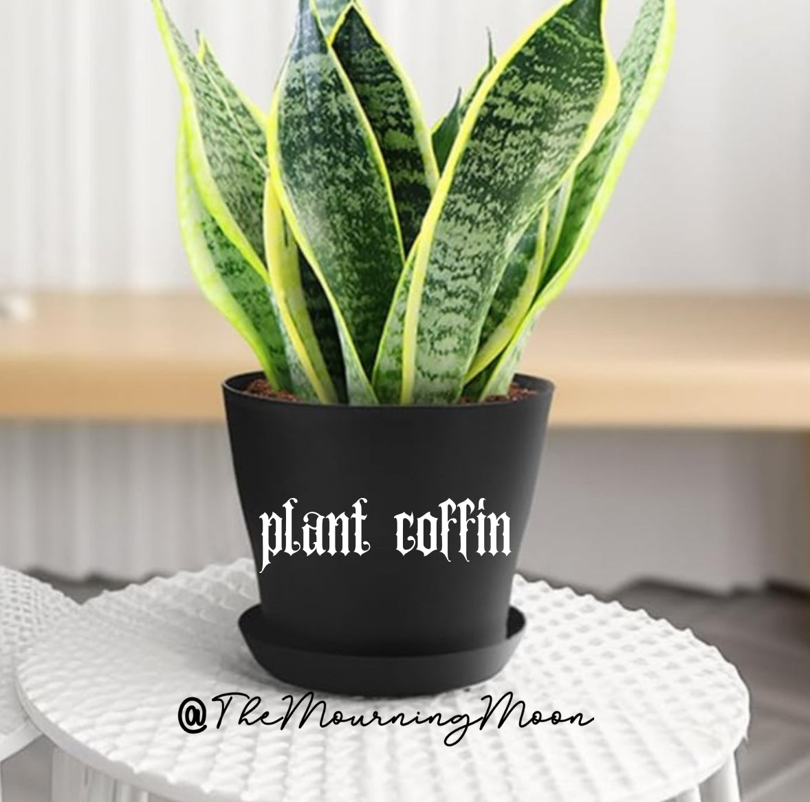 Plant coffin plant pot