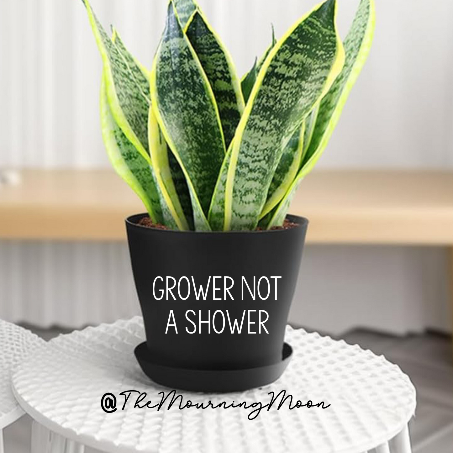 Grower not a shower plant pot