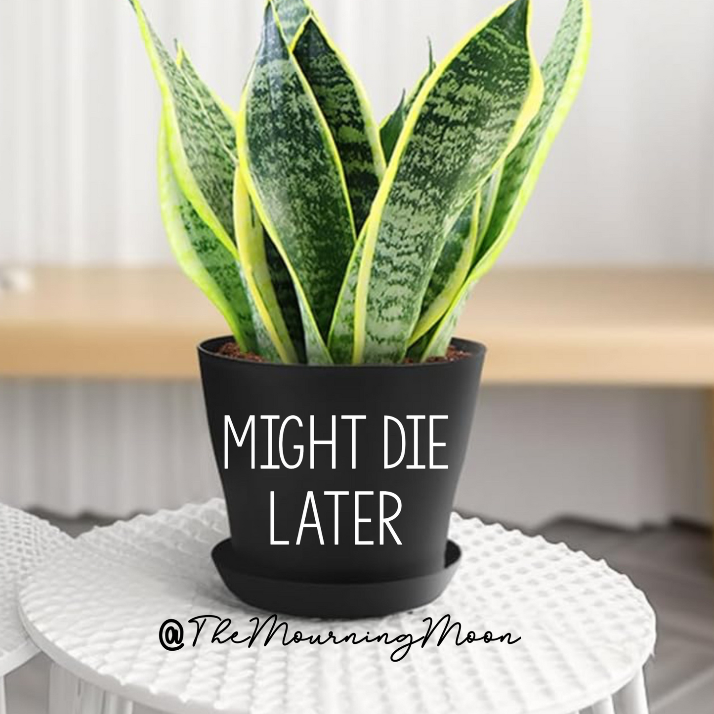 Might die later plant pot