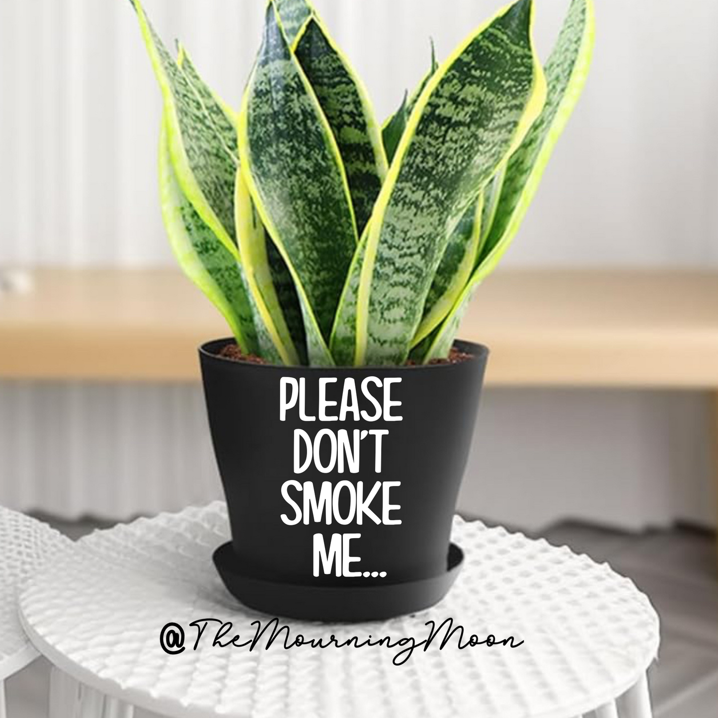 Please don't smoke me plant pot