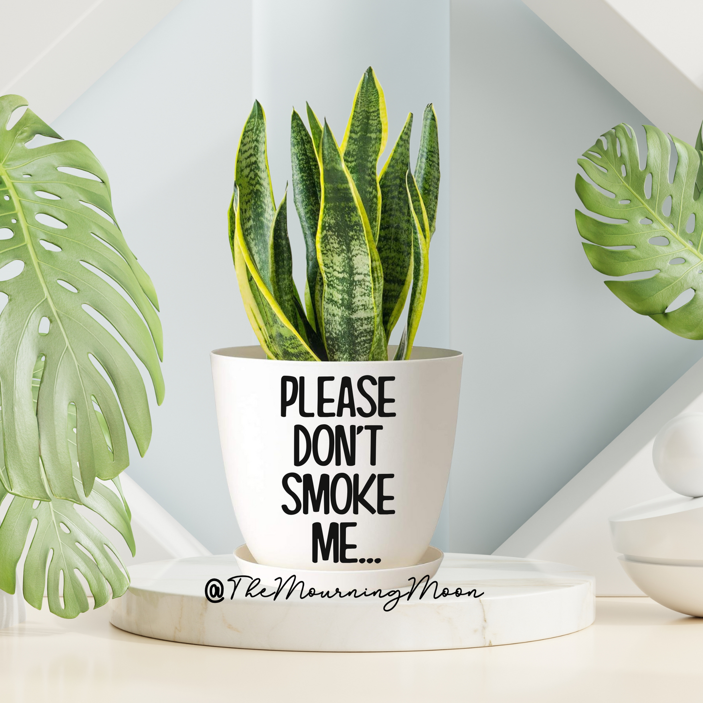Please don't smoke me plant pot